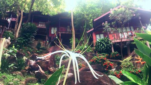 Phi Phi Green Hill Resort