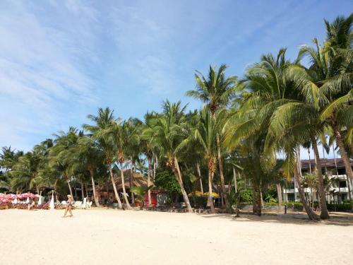 Hotel Coconut Beach Resort