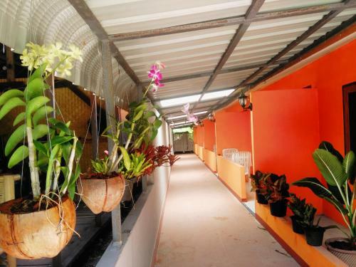 Hostal Phi Phi Coralbay