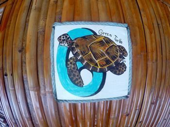 Adang Sea Divers & Eco Lodge
