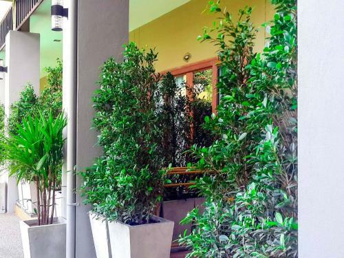 Hotel San Pita Resort