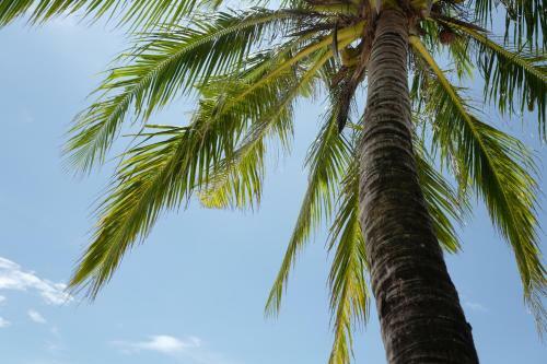 Nature Beach Resort