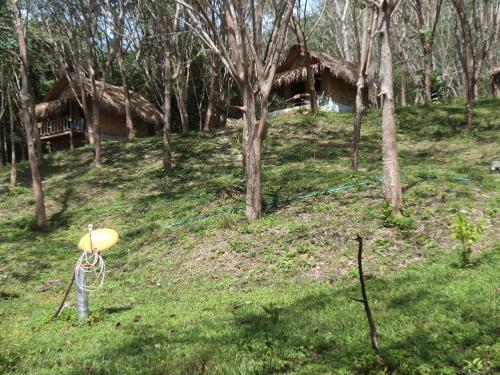 Lodge Last Fisher Koh Jum
