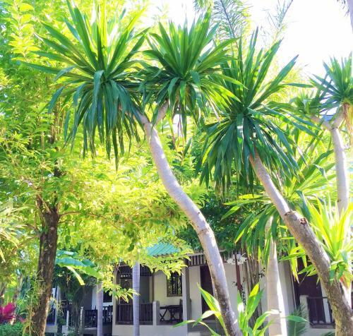Hotel Lamai Inn 99 Bungalows