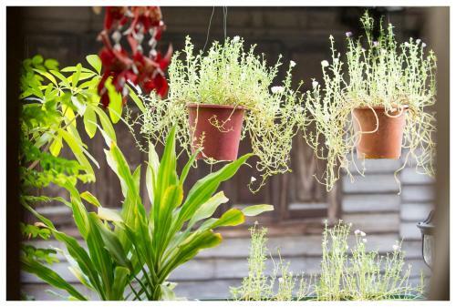 Hostal Baan Chantra