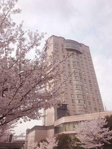 Xiongchu International Hotel