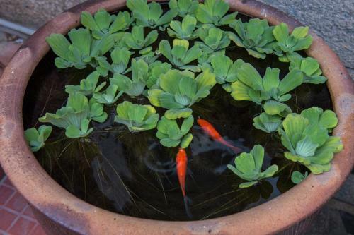 Xiamen Into Spring Hometel