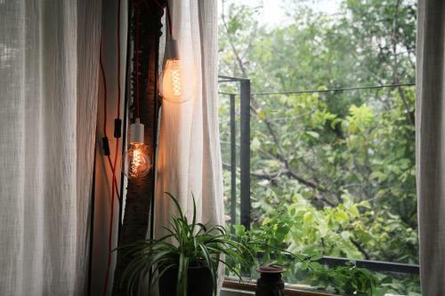 Bed & Breakfast Iii_house