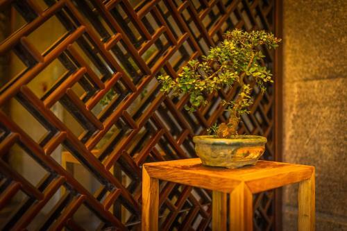 Yangshuo Spring Hyatt Hotel