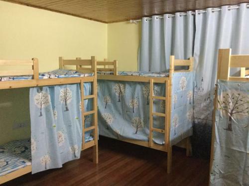 Albergue Bamboo House