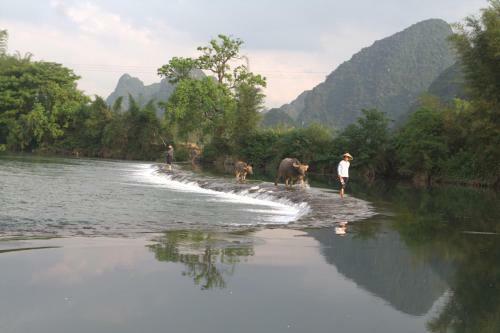 Yangshuo Ecofarm Lodge