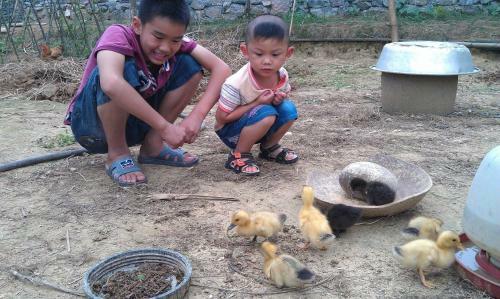 Yangshuo Ecofarm Lodge