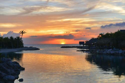 Hotel Lions Dive And Beach Resort