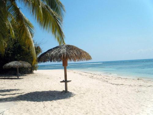 Apartamento Petit Paradis