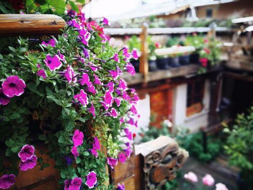 Bed & Breakfast House Of Waking Sunlight
