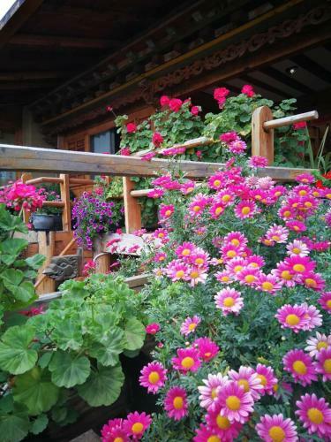 Bed & Breakfast House Of Waking Sunlight