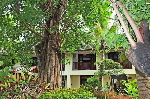 Posada Xishuangbanna Elephant Home Guesthouse