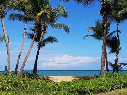 Holiday Home At Wyndham Rio Mar