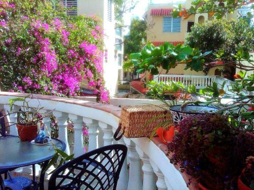 El Canario Boutique Hotel