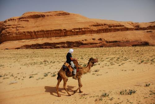 Bedouin Lifestyle Camp