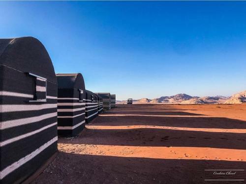 Real Bedouin Camp