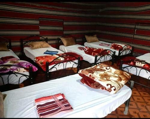 Real Bedouin Camp