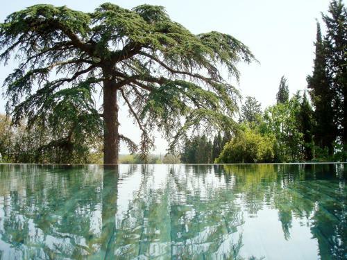 Bed And Breakfast La Grande Lauzade