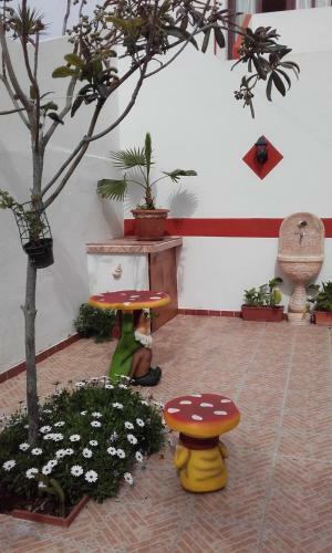 B&B Historia Magistra