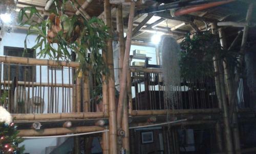 Hostal Hostel Camelot Salento