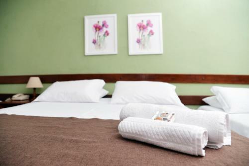 Hostal Pousada O�sis De Teres�polis