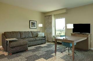 Hotel Hampton Inn And Suites Snyder
