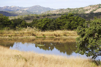 Posada Tomjachu Bush Lodges