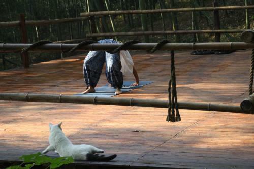 Om Yoga Resort