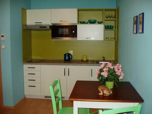 Apartamento Ubytov�n� U L�zn� Aurora