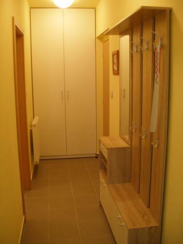 Apartamento Ubytov�n� U L�zn� Aurora