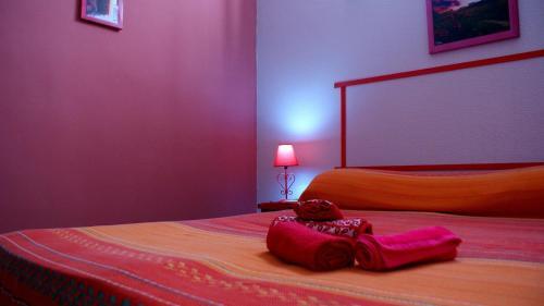 B&B Minicurcu