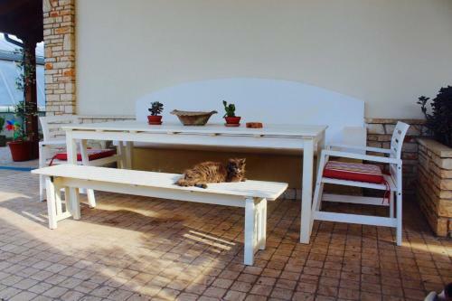 Gli Allori B&B