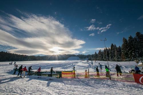 Chaty Lesko-ski
