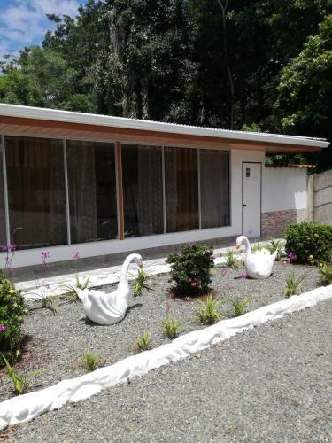 Hotel Puerto Vargas Lodge