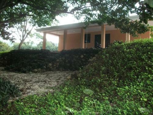House With The Pool