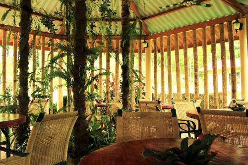 Villa Tavida Lodge