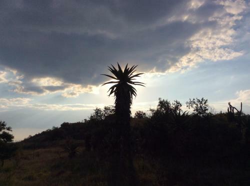 Klein Paradys Lodge - Polokwane