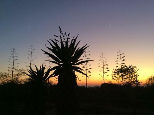 Klein Paradys Lodge - Polokwane