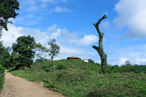 Hostal Finca El Recreo