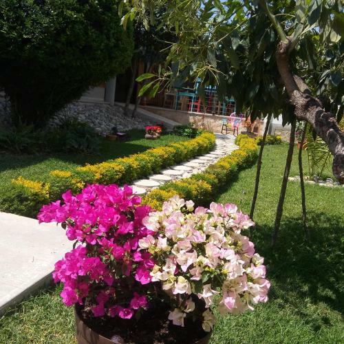 Hotel Casa Caelum