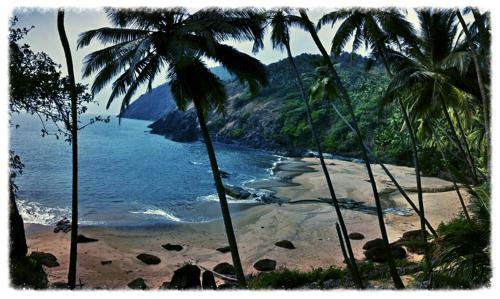 Hotel Blue Lagoon Resort Goa