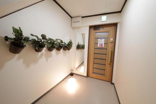 Hostal Chelsea24