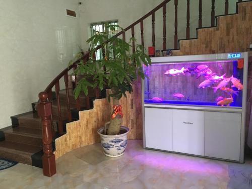 Apartamento Shuangyuewan Happy Inn