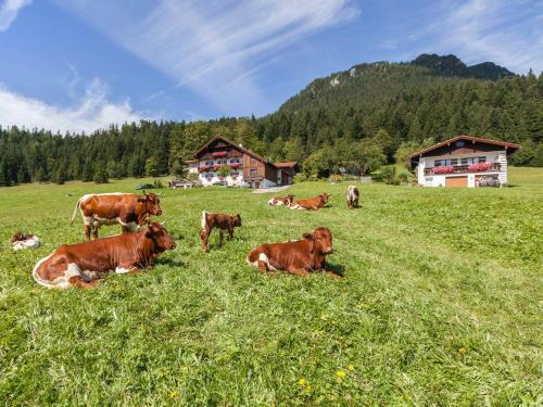 Apartamentos Ferienhaus Lehen