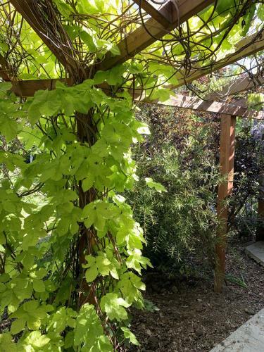 Woodpaddock Bed & Breakfast